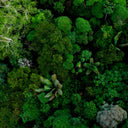 In Our Store, Every Order Helps Remove Carbon from the Planet