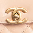 CH Shiny Aged Calfskin Nano Kelly Shopper